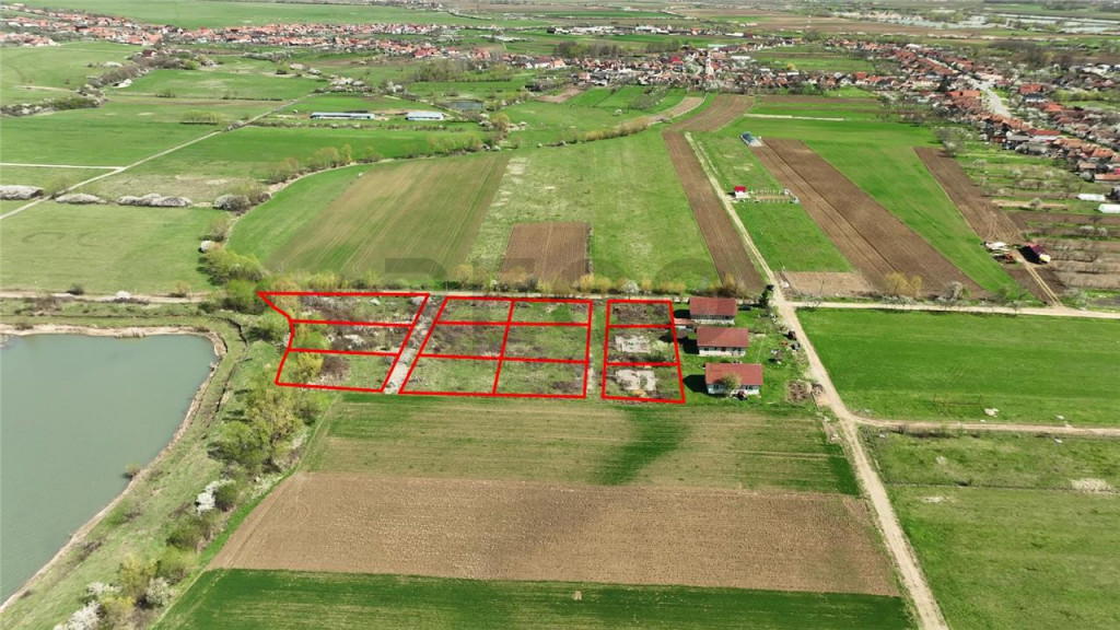 RECO , teren intravilan, Ineu,Bihor