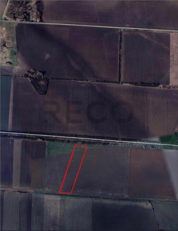 RECO Teren extravilan 9000mp zona Bors