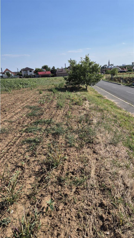 Reco Teren Extravilan Episcopia aproape de Remarkt