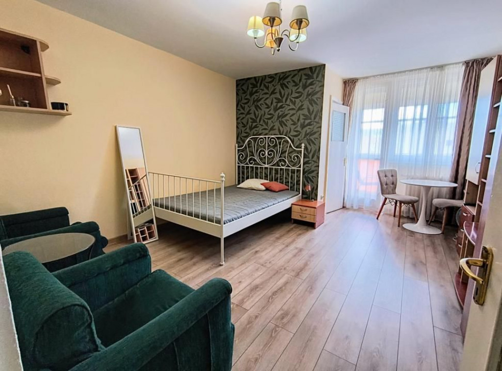 Garsoniera Iancului- Elev Stefanescu