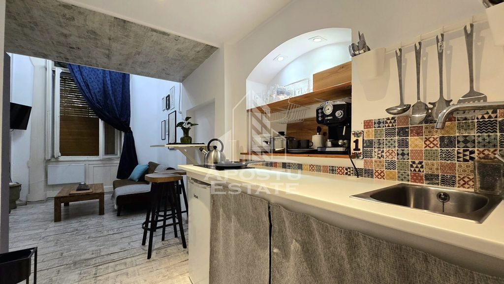 Apartament tip Studio in zona parcului Regina Maria
