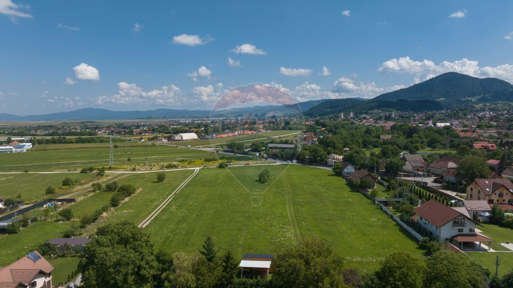 Lot de casa intrare Sacele -Strada Iernii, 513mp