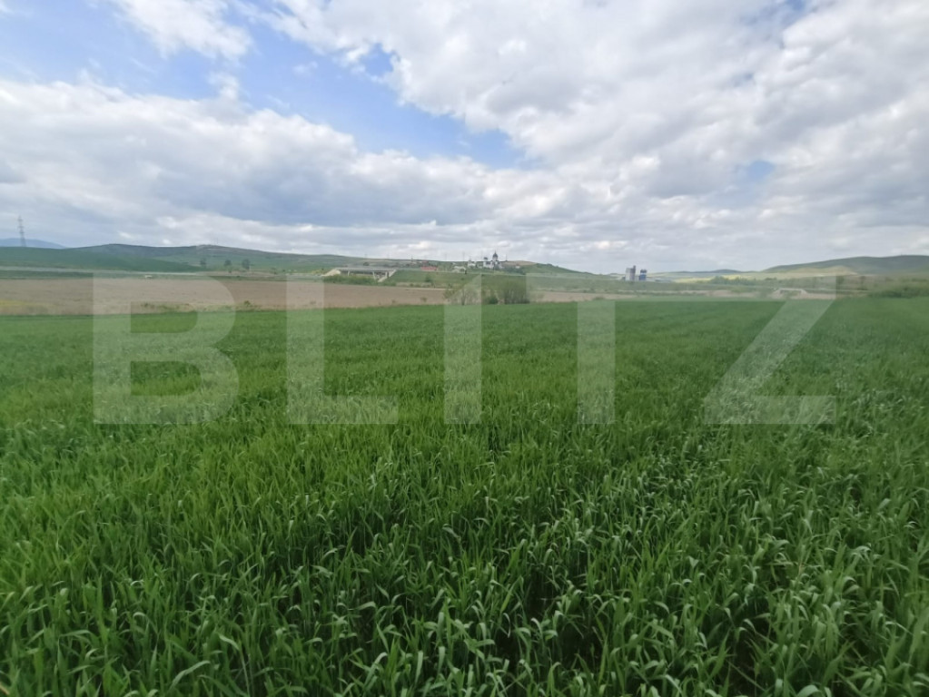 Teren extravilan 5,2 ha deschidre la DN ideal pentru industr
