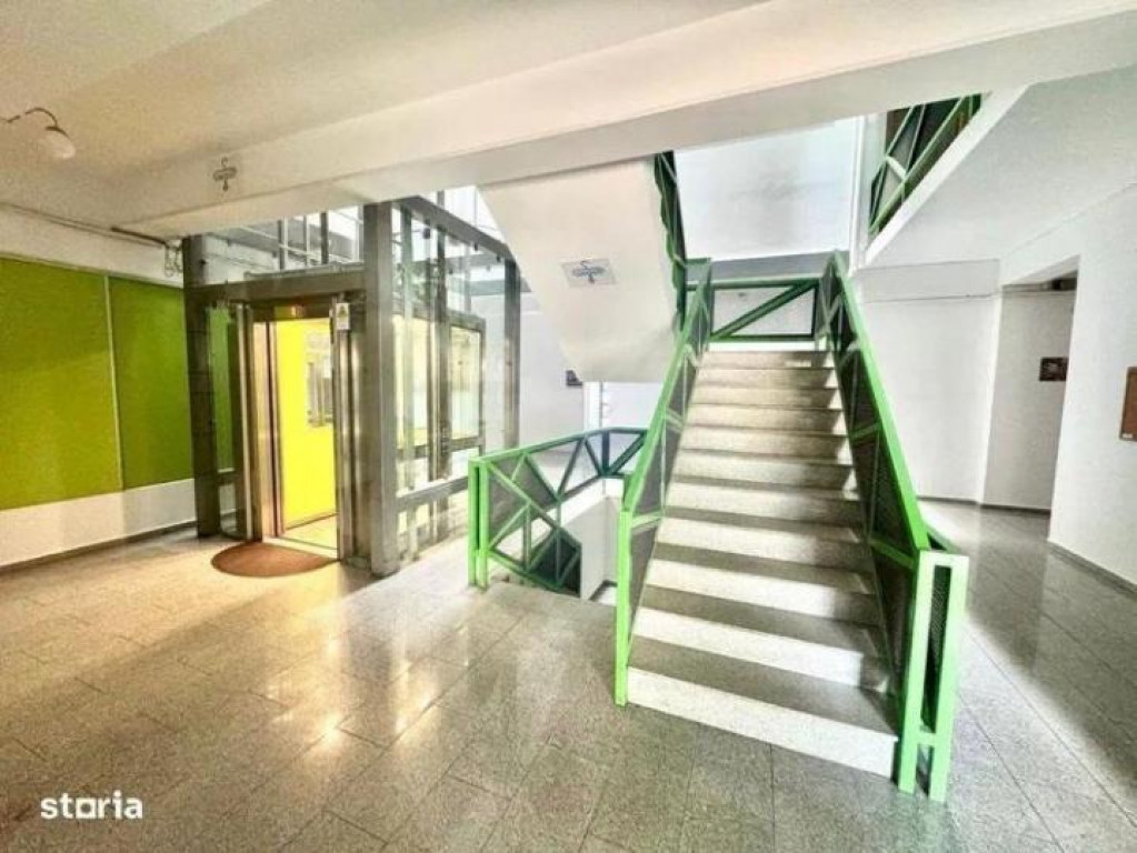 Brancoveanu luica sud park city