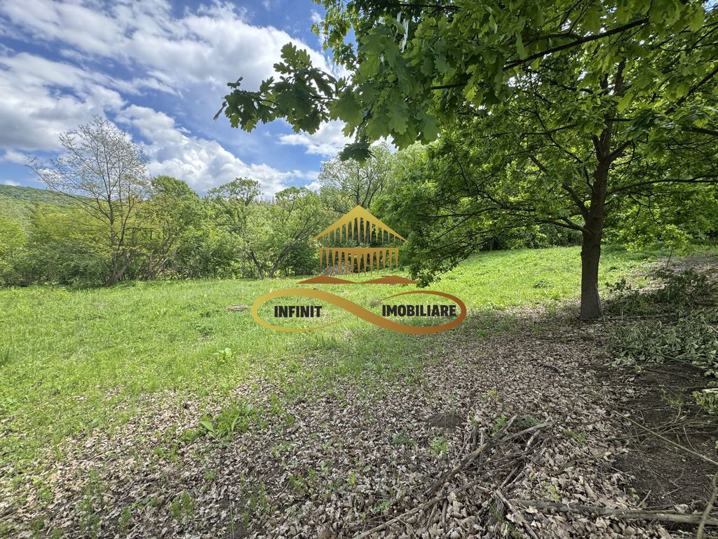 Teren intravilan | Posibilitate afacere HoReCa | Luncani-...