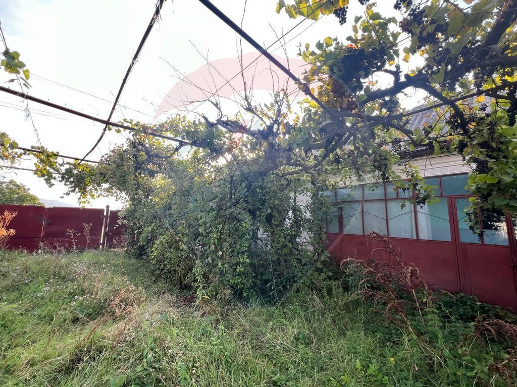 Casă si teren 1448mp Muncelul