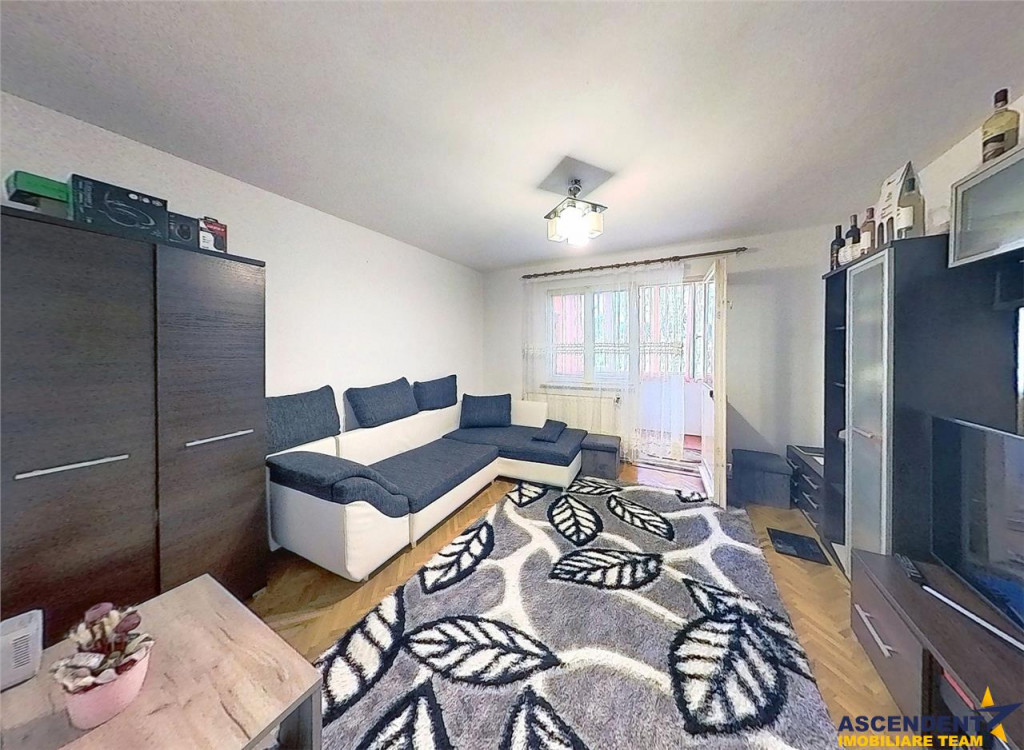 3D! Decomandat,ergonomic,apreciabila zonare,Dambu Pietros,Ta