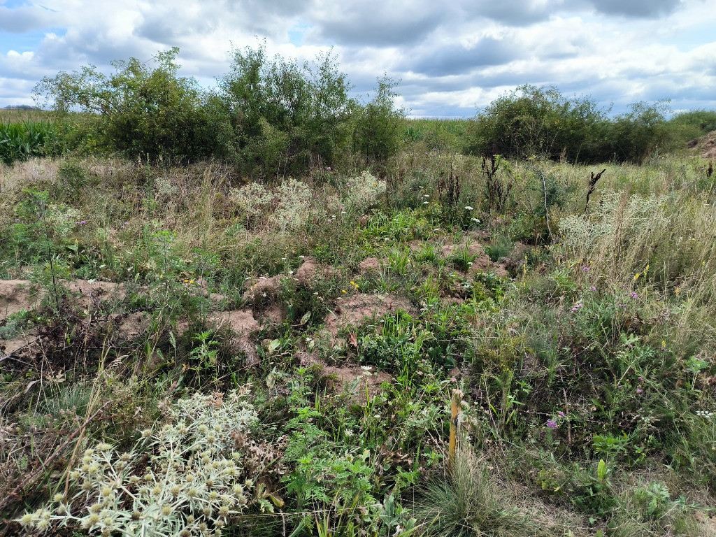 Teren Agricol 5755mp