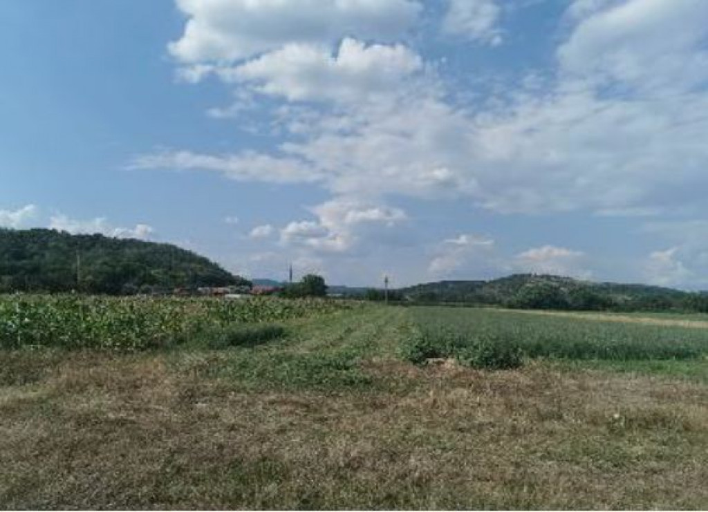 Cota de 1/2 din teren 2356 mp Com. Mihaesti, jud Valcea