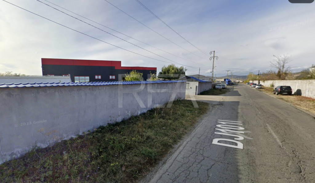 HALA FILIPESTII DE PADURE - complet echipată, pregătită p