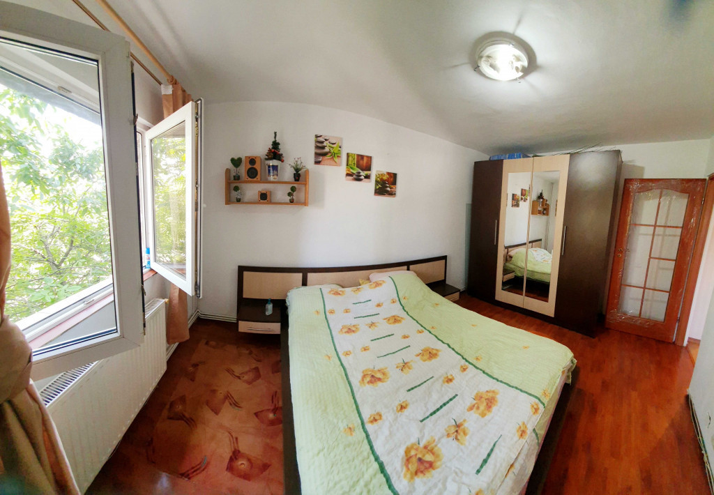 Giurgiului luica ilie oprea