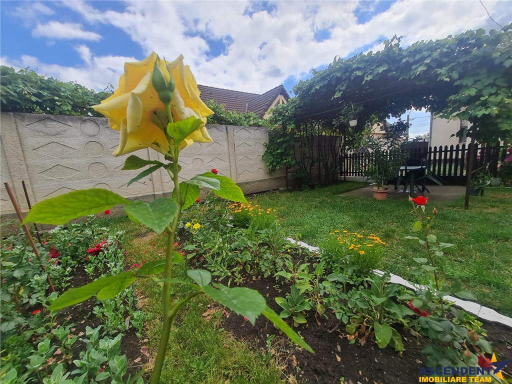 Poveste saseasca la umbra vitei de vie, cu crama si gradina