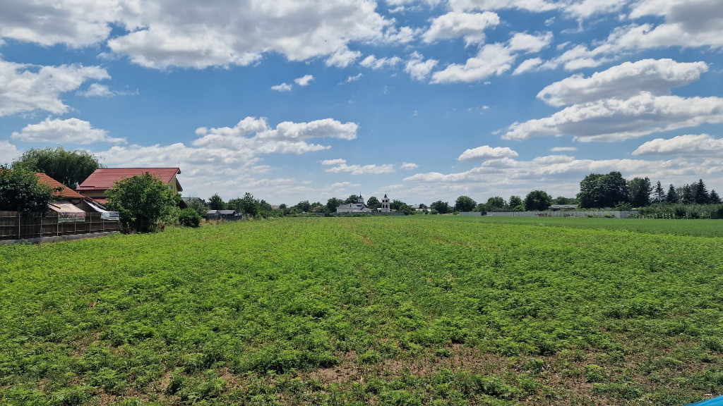 Teren intravilan 9500 mp – Bolintin-Deal, zonă rezidentială