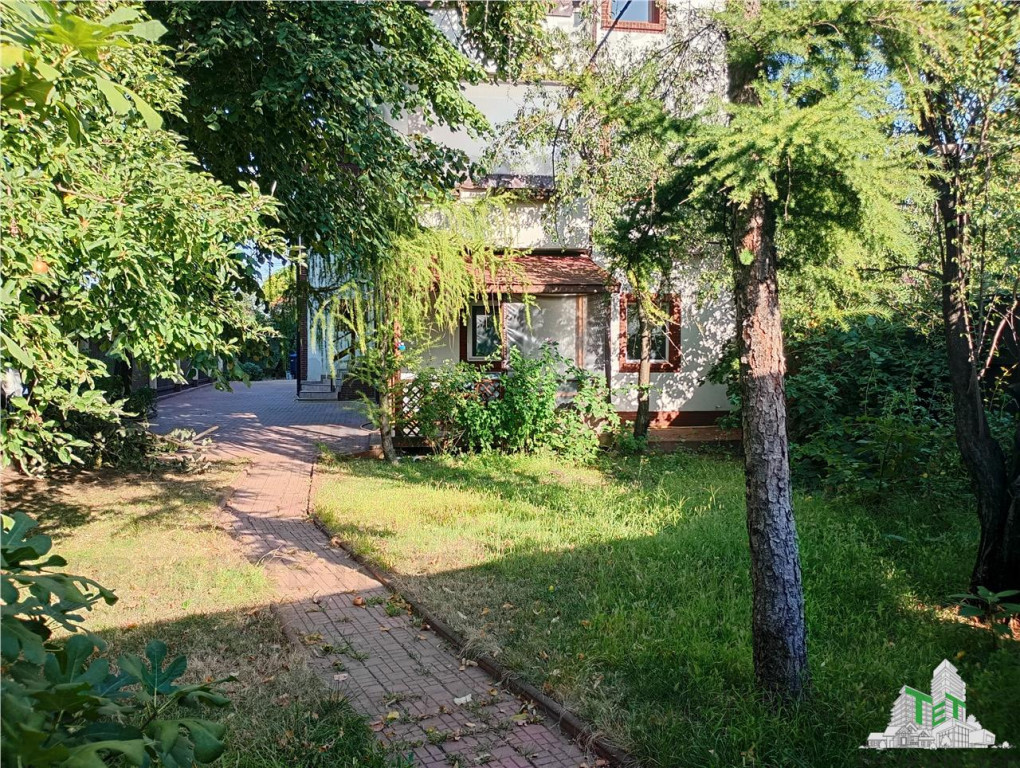 Vila deosebita, Brancoveanu, Luica, curte generoasa. Merita