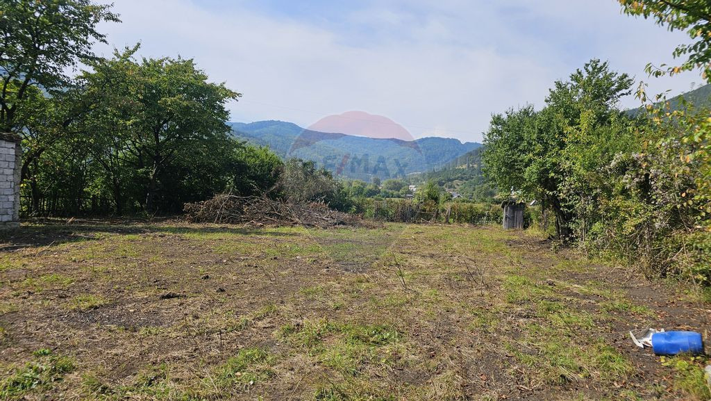 Vanzare teren Loc. Stejaru, Com. Pangarati