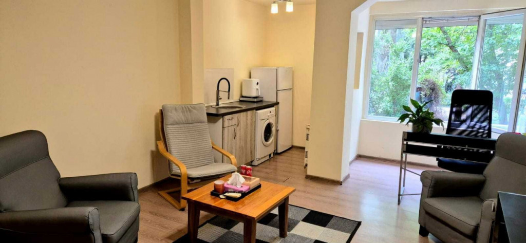 Apartament cu o cameră Take Ionescu