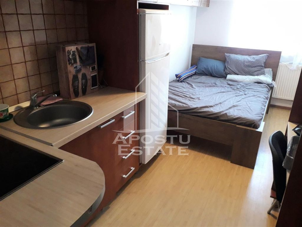 Garsoniera Buziasului