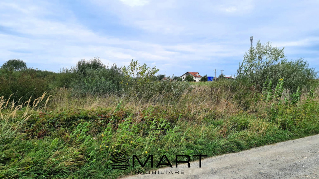 Teren extravilan 4800mp la intrare in Mohu