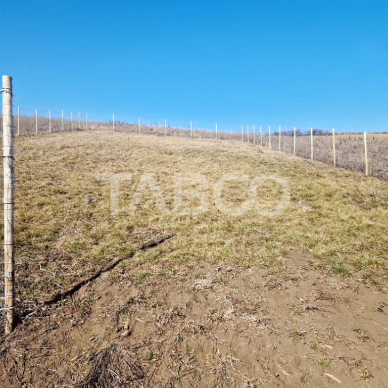 Teren de vanzare intravilan priveliste deosebita 508 mp Sura