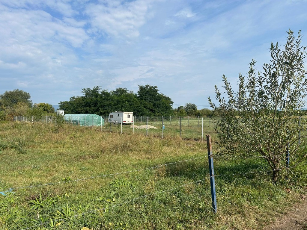 Teren intravilan – Hălchiu, str. Feldioarei – 1600 mp