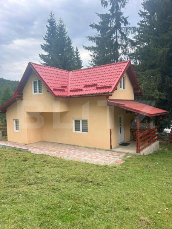 EXCLUSIV BLITZ ! Cabana in statiunea Muntele Baisorii