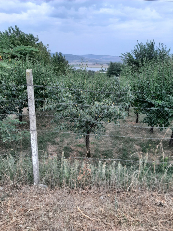 Teren str. Casa Apelor 6571mp