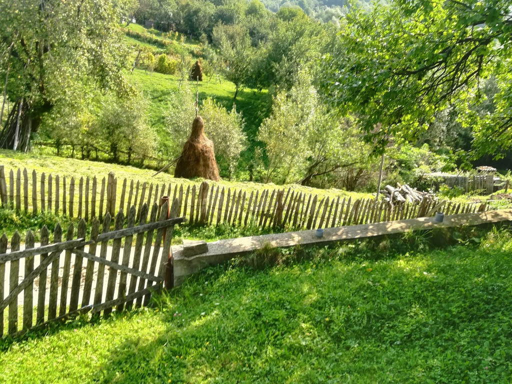 Teren Secaria Prahova 1049mp