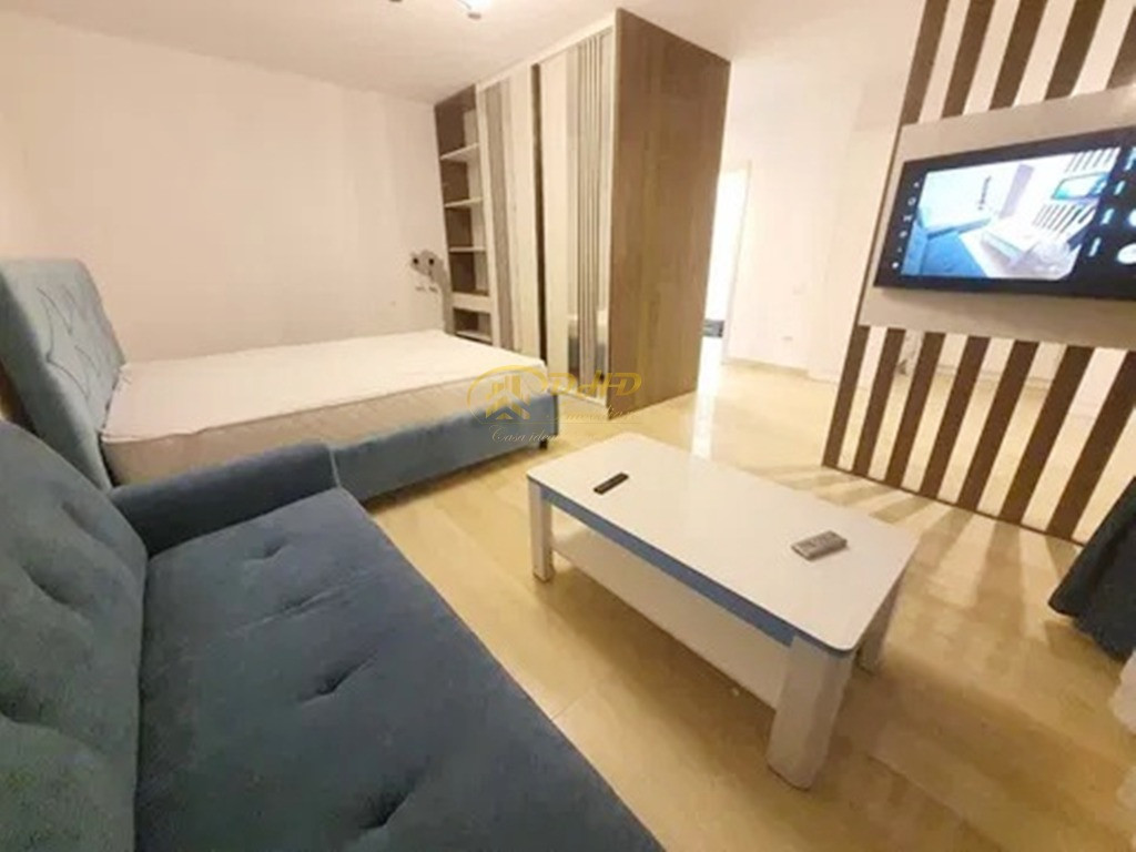 Apartament cu o camera in Tatarasi - Newton