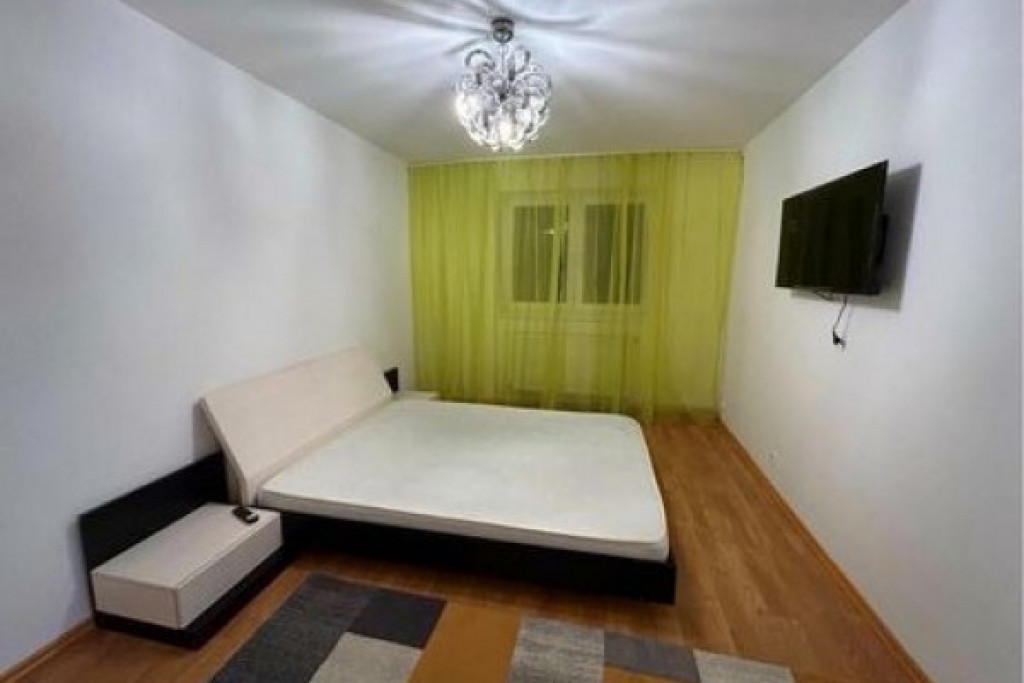 Apartament 2 camere 50 mp, pet friendly, Grivitei