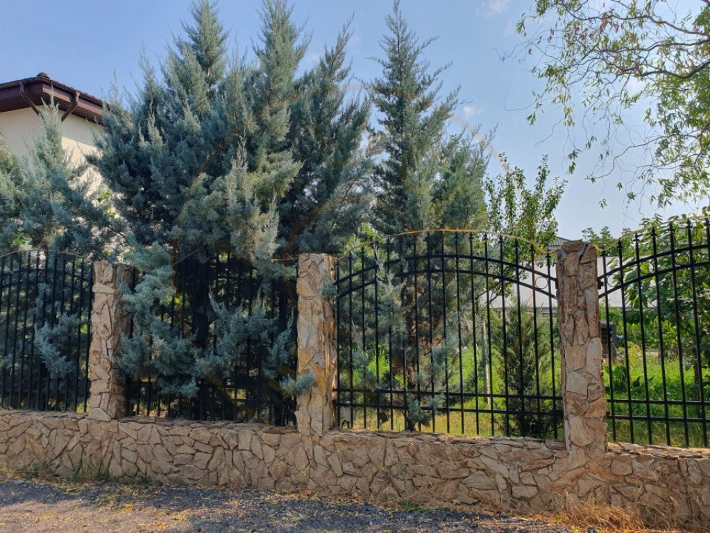 Teren intre case Crisul Repede Bragadiru