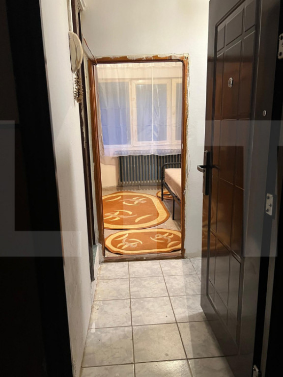 Apartament cu o cameră Buziașului