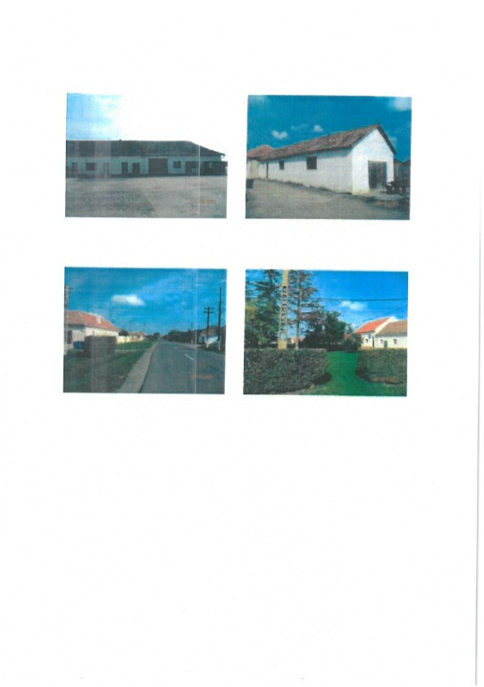 Grajduri si teren in suprafata de 27141mp in Turnu, Arad