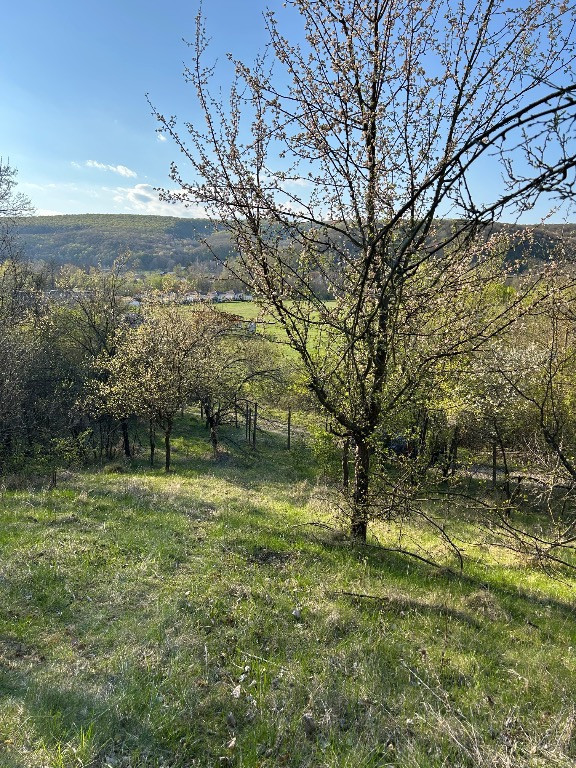 Teren intravilan 1000 mp Mierea, Vernesti