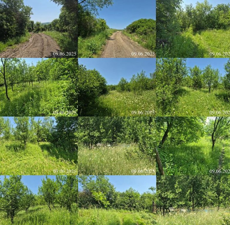 Teren extravilan, loc. Bobohalma, jud. Mures