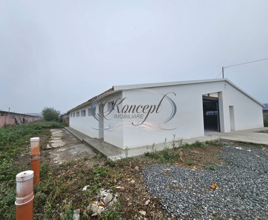 Hala la prima inchiriere, izolata termic, disponibila imedia