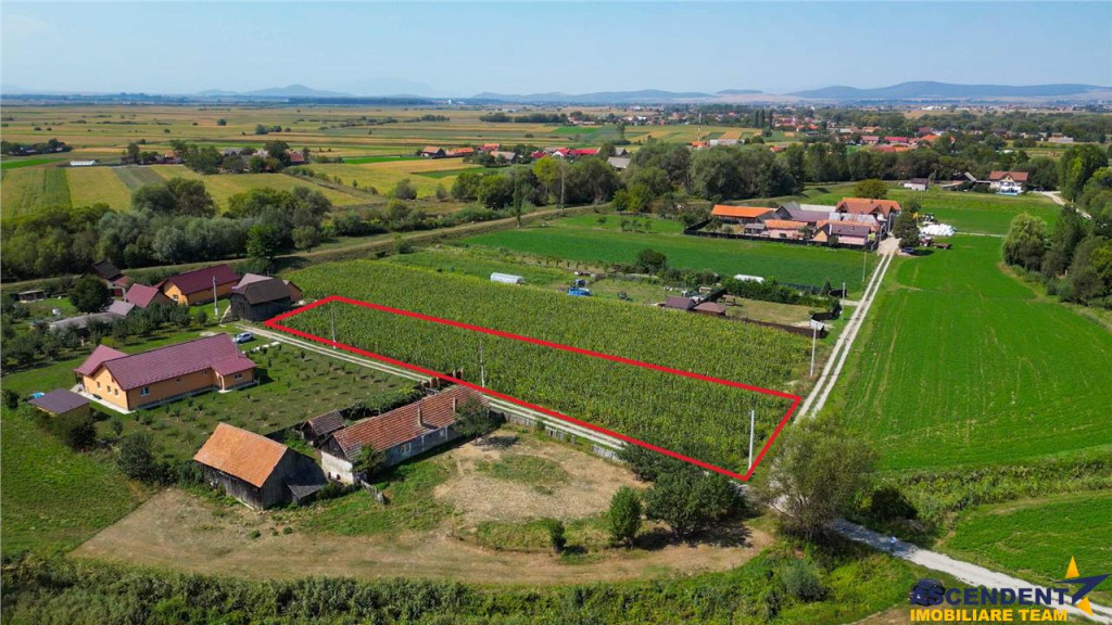 2.000mp intravilan, Bacel, zona linistita, intre Brasov si S