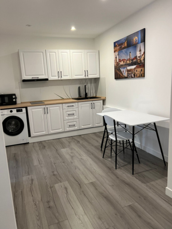 Camere tip studio ultracentral aproape facultate Medicina