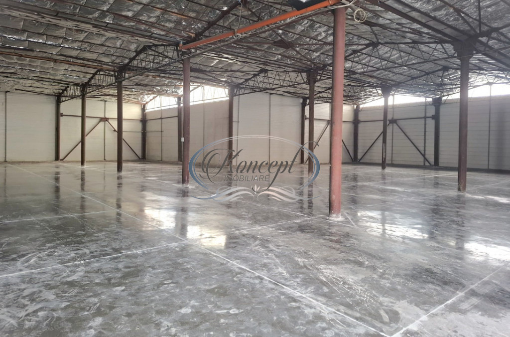 Hala ideala pentru productie sau logistica, pe Calea Baciulu