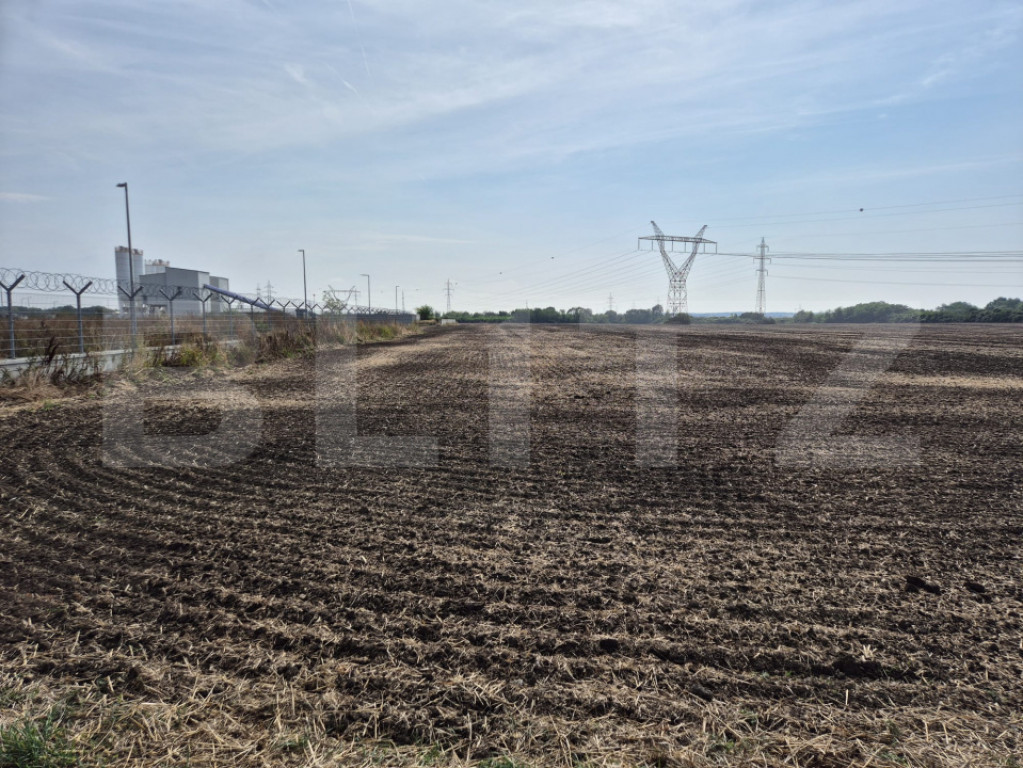 Teren Extravilan Dumbravita pentru investiei