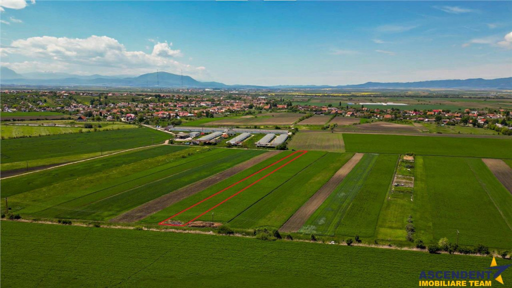 Aliniament de liniste, drum usor, 5.000 mp pamant verde, Bod