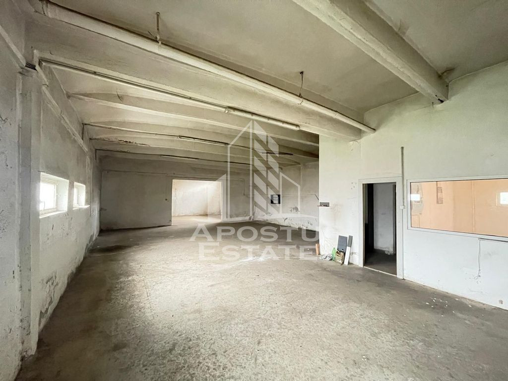 Hala 247 mp, ideala depozitare sau productie, Calea Sagului