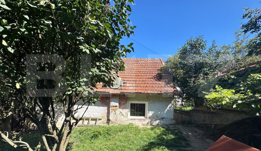 Casa individuala de vanzare, cu anexa si curte, zona Schei