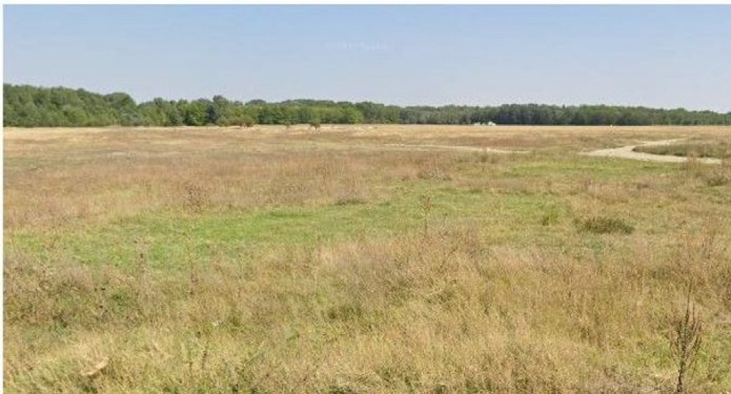 Teren Gura Sutii, ID: R2724400