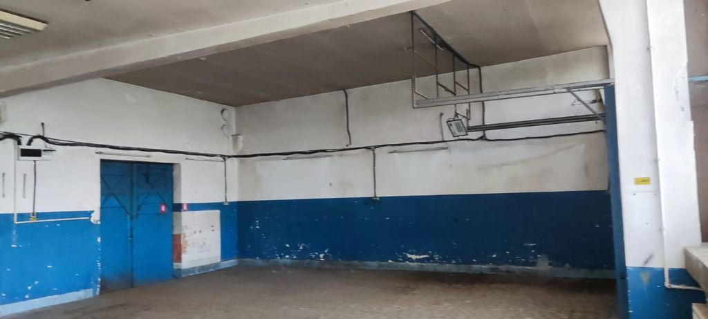 Hala ideal service/detailling Theodor Pallady