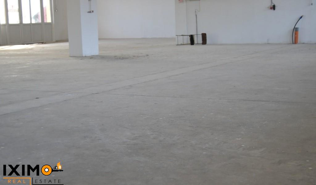 Hala Demisol Ucentral