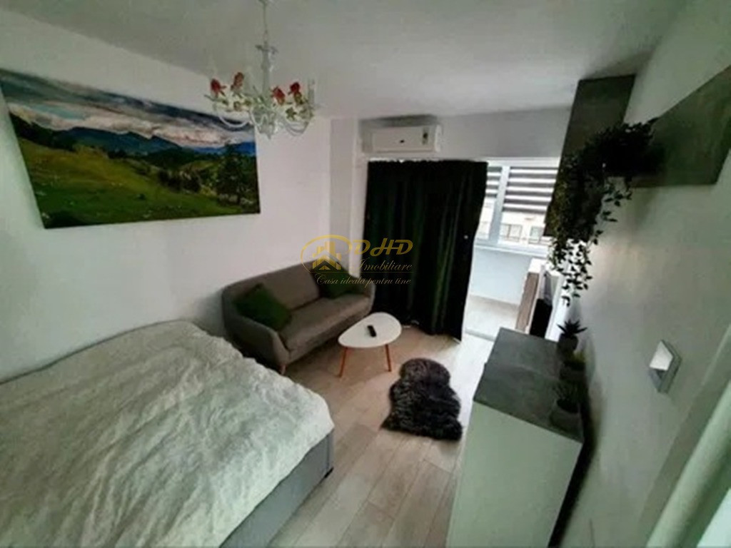 Apartament cu o camera in Tatarasi - Newton