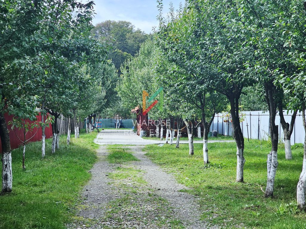 Teren 2000 | Casa | Foisor | Livada | Zizin | Brasov