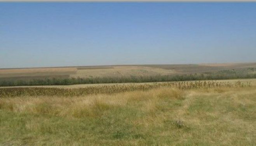 Teren Extravilan cota parte 1/4, Varlezi, ID: R2730256