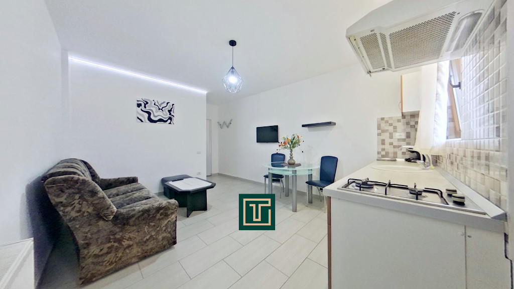 Apartament cu 1 cameră renovat – de închiriat în cartierul Bujac Arad