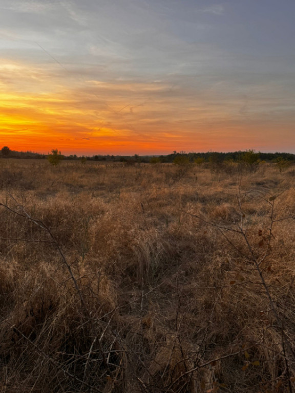 Teren extravilan 5000 , 2,5 euro mp BREASTA